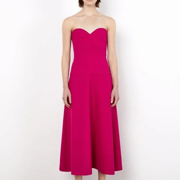 Zara Bustier Midi Dress - Picture 10 of 15
